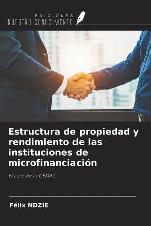 PDF Estructura De Propiedad Y Rendimiento De Las Instituciones De