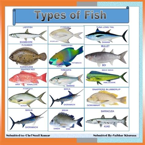 TYPES OF FISH