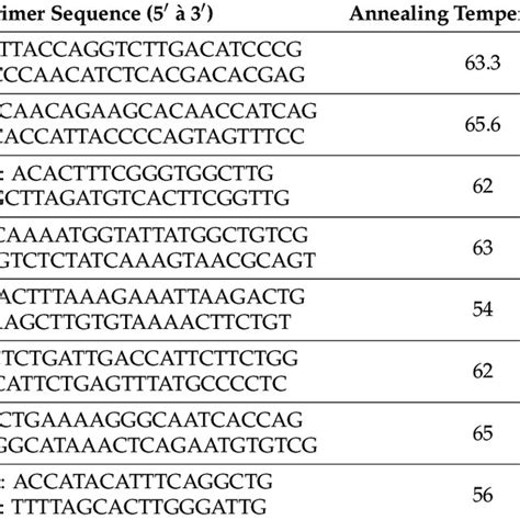 Primer Sequences Used For The Quantitative Polymerase Chain Reaction