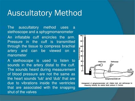 Ppt Blood Pressure And Its Measurement Powerpoint Presentation Free