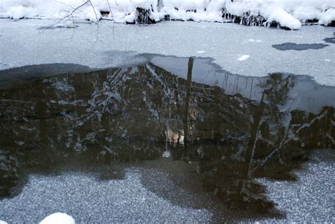 Gratis Afbeeldingen Water Sneeuw Winter Ijs Reflectie Weer