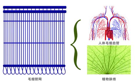 毛细管网五恒系统丨恒温恒湿恒氧五恒系统丨成都重庆五恒 哔哩哔哩