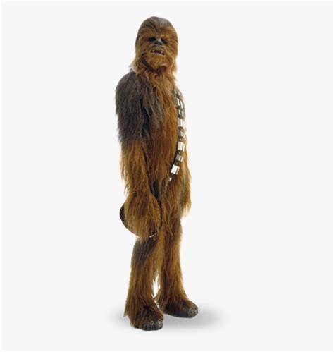 Chewbacca Png Transparent Png Kindpng