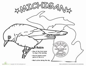 Michigan State Bird | Worksheet | Education.com