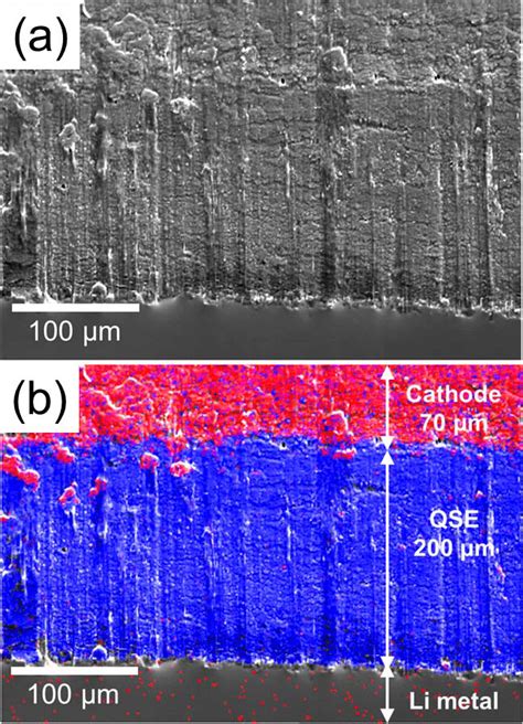 Cross Sectional Sem Image And X Ray Elemental Mapping Of P And Al For