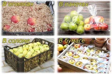 Яблоко. Энергетическая ценность, калорийность на 100 грамм, польза для ...