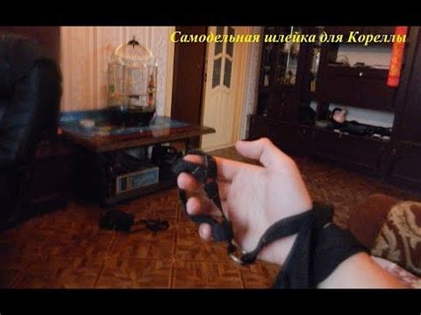 Самодельная шлейка для Кореллы - YouTube
