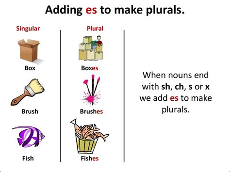 Making Words Plural By Adding S And Es