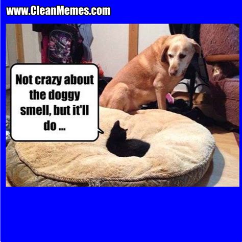 Doggy Smell – Clean Memes