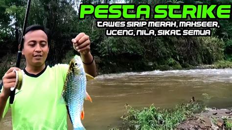 GILLA TADINYA GAK YAKIN Mancing Di Air Keruh Ternyata Pesta Strike