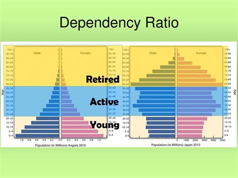 Population Pyramids Ppt Download