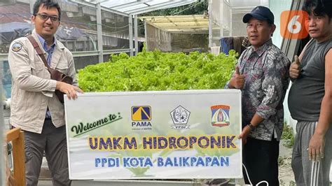 Umkm Hidroponik Penyandang Disabilitas Di Balikpapan Dapatkan Bantuan