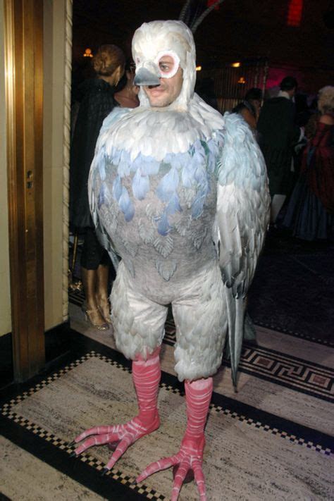 9 Best pigeon costume ideas | pigeon costume, pigeon, pigeon pictures