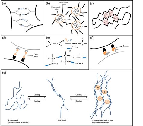 A Intermolecular H Bonding Between The Carboxylic Groups Present On