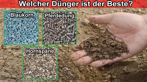 Hornspäne Blaukorn Natur Dünger anwenden Womit soll ich düngen