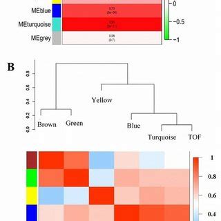 (A) Module-trait relationship. Each row corresponds to a module ...