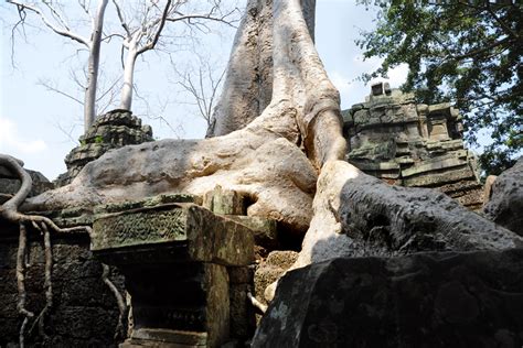 Cambodia Jungle Temples Image Gallery