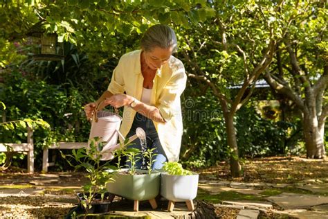 Watering Plants In Garden Mature Woman Enjoying Gardening In Backyard Stock Image Image Of