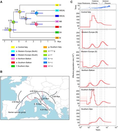 Biogeography And Demographic Dynamics For Podarcis Muralis A Download Scientific Diagram