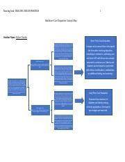 Nur Healthcare Disparities Concept Map Template Docx Running