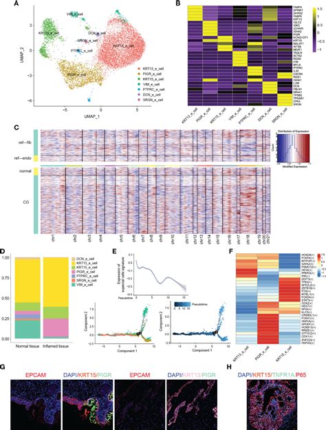 Frontiers Single Cell Rna Sequencing Reveals The Immune