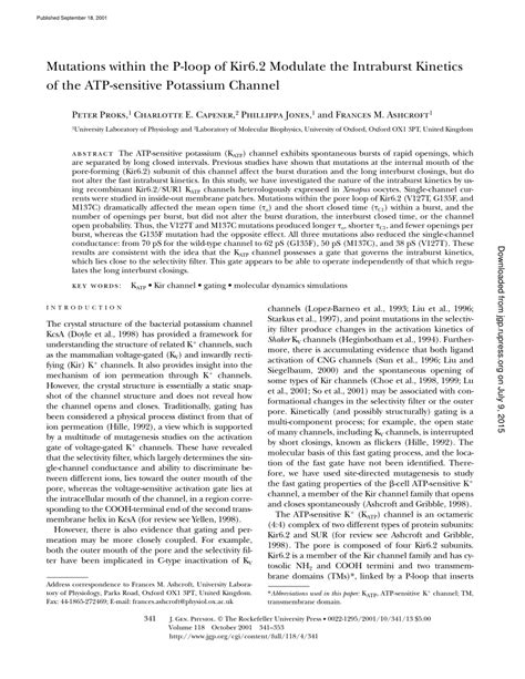 PDF Mutations Within The P Loop Of Kir6 2 Modulate The Intraburst