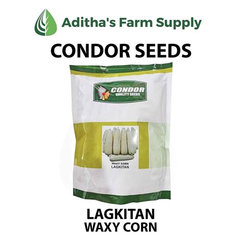 Kg Condor Seeds Lagkitan White Waxy Corn Mais Shopee Philippines