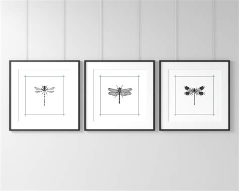 Dragonfly Wall Art Printable Set Of Three Wall Art Dragonfly Art Digital Download Dragonfly