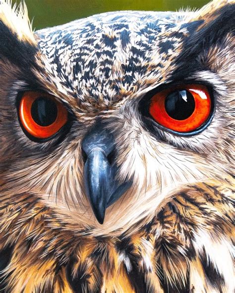 Realistic Owl Painting Atelier Yuwa Ciao Jp