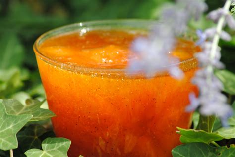 Confiture D Abricots La Vanille Aux D Lices Du Sud