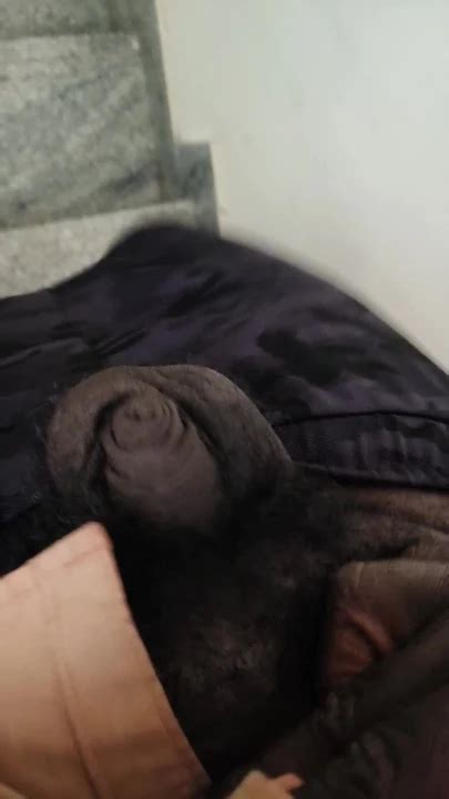 Flash In Steps Gay Black Black Porn Feat CarvingShovel XHamster