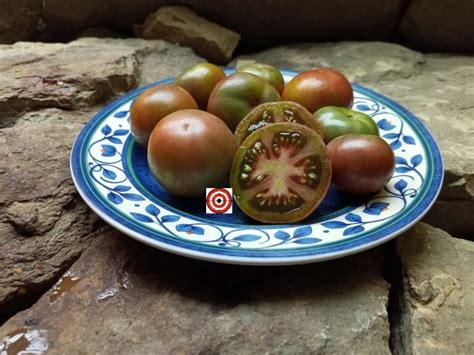 Rare Tomato Basin Mountain Tommy Toe Tomato Seeds Available Here