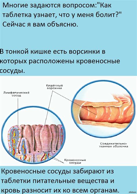 Как действуют таблетки. | Пикабу