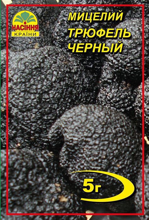Мицелий грибов Трюфель черный 5 г (Насіння країни) – фото, отзывы ...