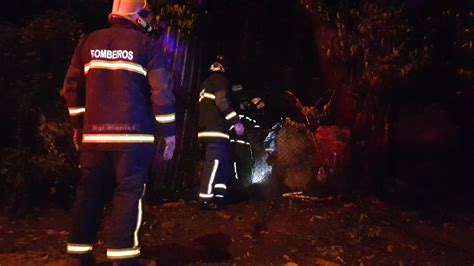 Corpo de Bombeiros é acionado para combater incêndio em árvore e