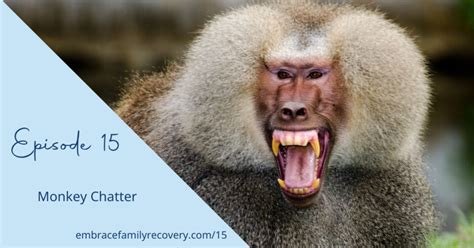 Ep 15 - Monkey Chatter - Embrace Family Recovery