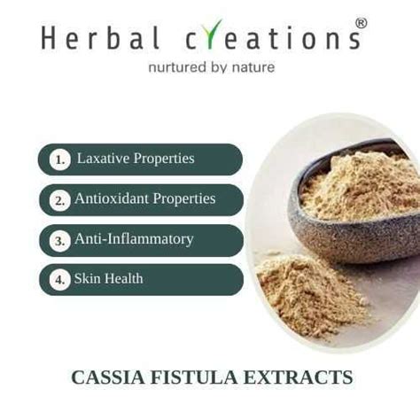 Premium Cassia Fistula Amaltas Extracts Herbal Creations