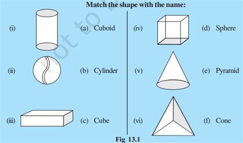 sathee chapter  visualising solid shapes