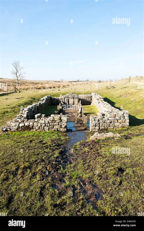 The Roman Temple Of Mithras With Replica Stone Altars At Brocolitia