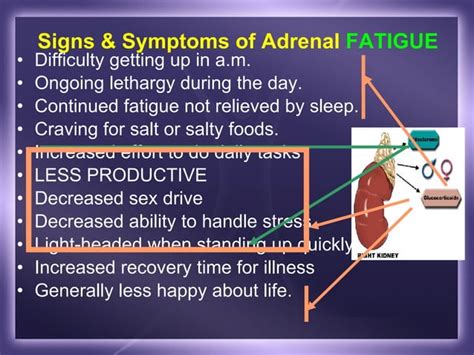 Thyroid Adrenals Sex Hormones A Balancing Act Ppt