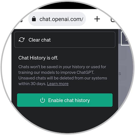 Borrar Historial Chatgpt Solvetic