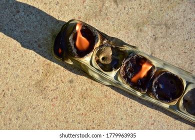 Naked Switch Images Stock Photos Vectors Shutterstock