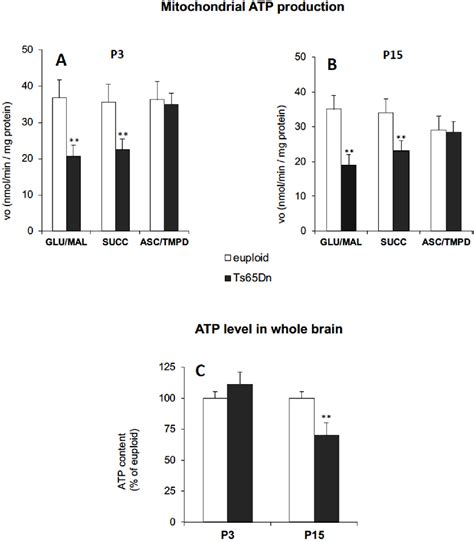 Figure From Impaired Brain Mitochondrial Bioenergetics In The Ts Dn