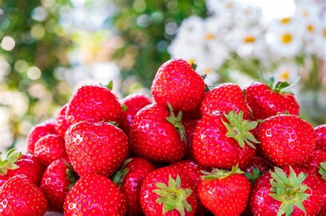 Fresas Beneficios Y Propiedades Que Te Sorprenderán De Esta Fruta