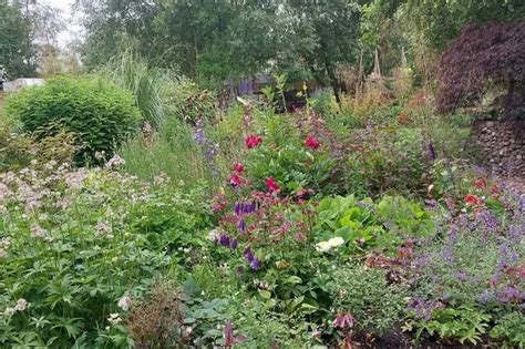 The Burton Garden So Beautiful Its Being Opened To The Public