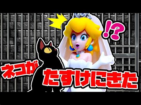 つかまったピーチ姫を助けに来たのは黒猫になったマリオだった！？ マリオ アナケナファミリー｜youtubeランキング