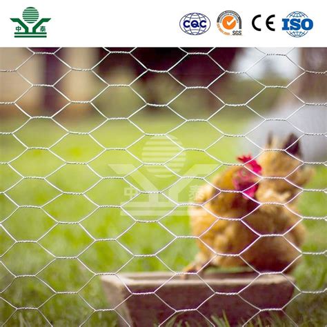 Zhongtai Hexagonall Wire Mesh China Manufacturers Inch Poultry Wire