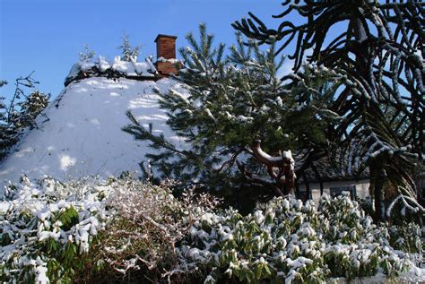 Blans | Blans, Sundeved, Denmark Blans (tysk: Blans) er en l… | Flickr