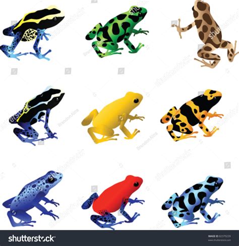 Poison Dart Frogs Stock Vector Illustration 82379239 Shutterstock