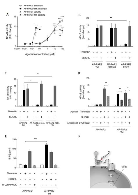 Pi3k Inhibitor Ly294002 Millipore Bioz